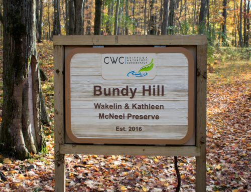 Blog Take Over presents: Exploring Bundy Hill Preserve, the Tallest Point in Isabella County by Katelyn Maylee, CWC