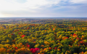 Aerial shot of fall foliage at the Chippewa Watershed Conservancy's Bundy Hill Preserve in Mt. Pleasant, Michigan.