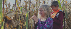 Two young children explore the corn maze at Papa's Pumpkin Patch in Mt. Pleasant, Michigan.