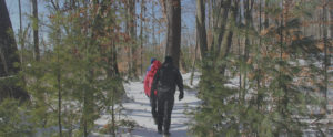 A winter hike at Bundy Hill Preserve in Mt. Pleasant, Michigan.