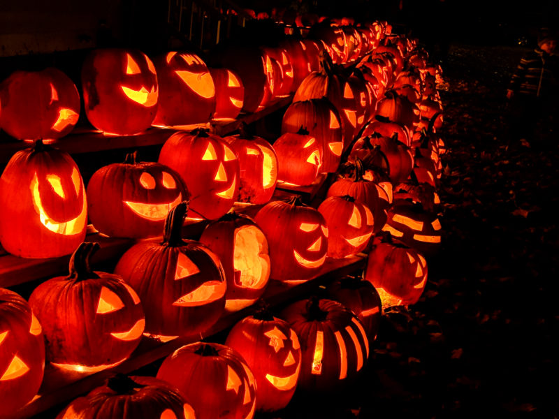 "Carving" Out Fun in Shepherd, Michigan! Mt. Pleasant Area Convention