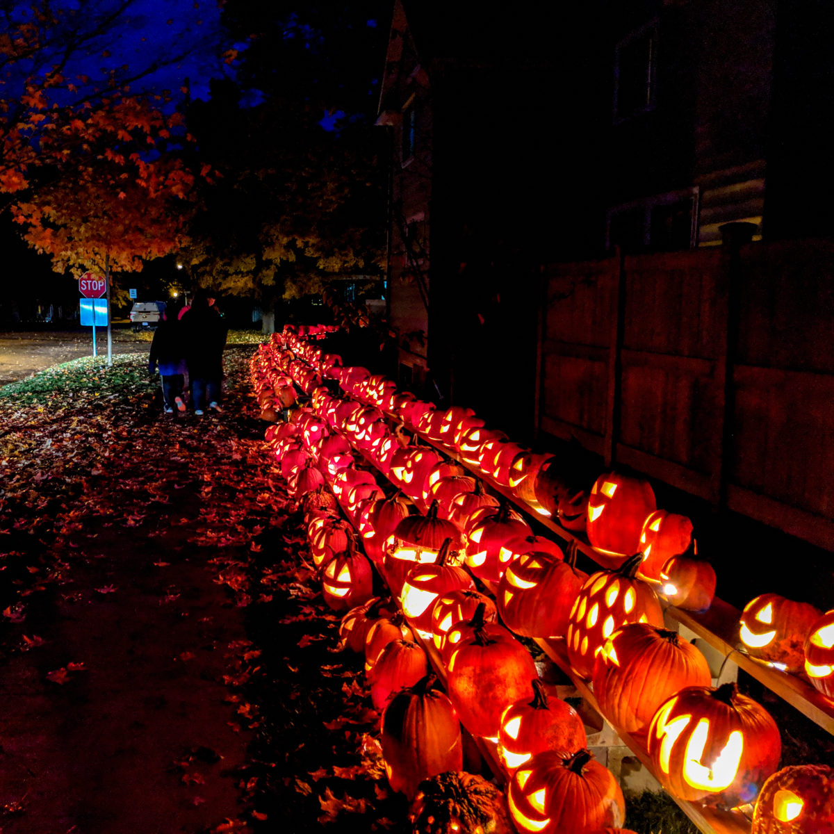 "Carving" Out Fun in Shepherd, Michigan! Mt. Pleasant Area Convention