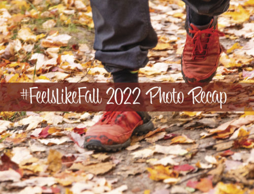 Top 5 #feelslikefall 2022 Photos