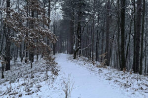 Winter trail at a CWC Preserve.