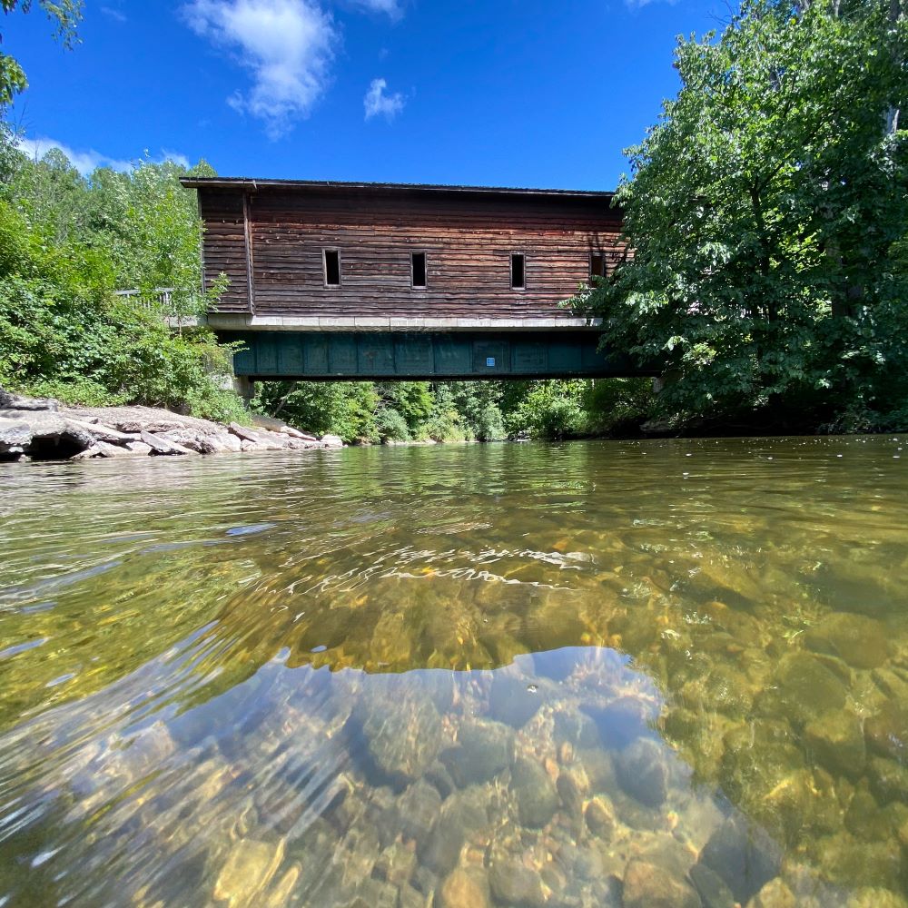 Covered bridge at Deerfield Nature Park and the Chippewa River.