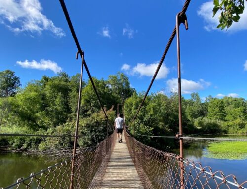 Best Places for a Hike Along the Chippewa River