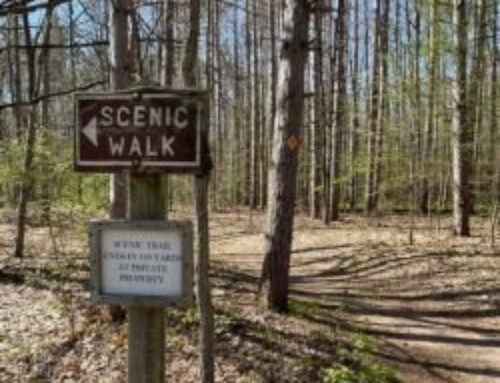 Blossoms, Bridges, and River Views: Where to hit the trails this spring in Mt. Pleasant