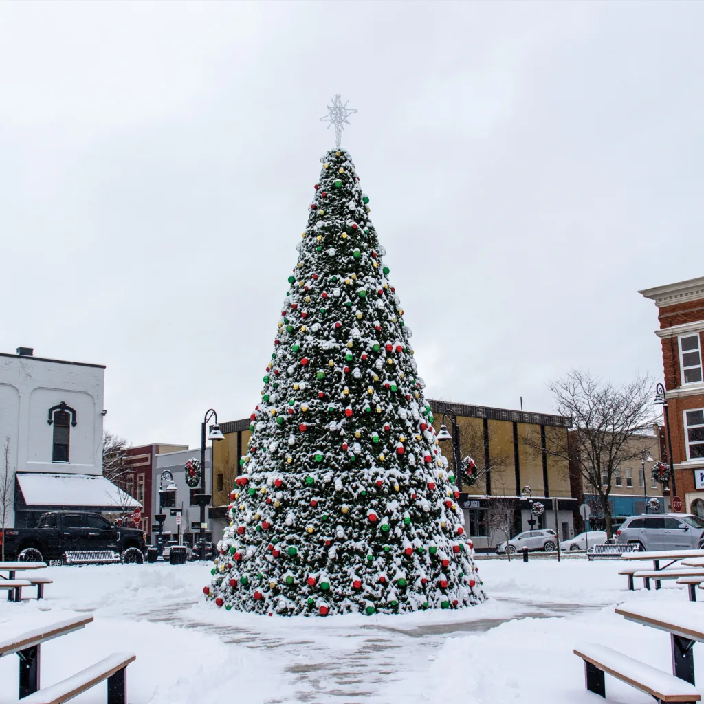 Updated-Mt.-Pleasant-Tree