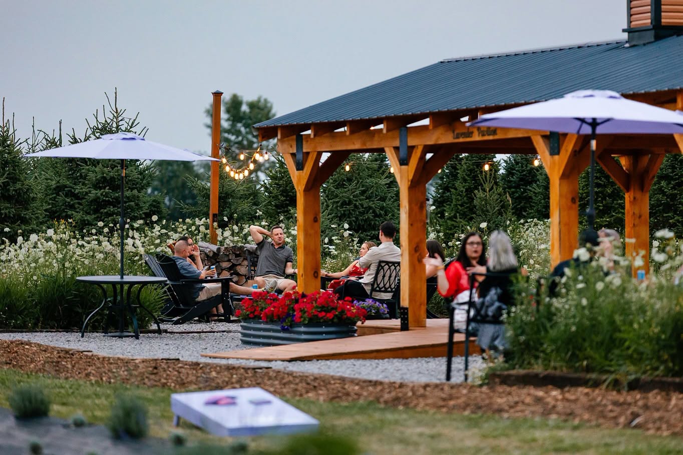 experience-august-in-mt-pleasant